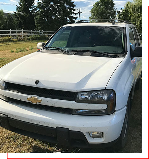 A white truck parked in the grass near some trees.